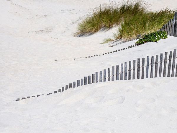 Eggers, Julie 아티스트의 Portugal-Costa Nova-Beach grass-sand and old fence line at the beach resort of Costa Nova near Avei작품입니다.